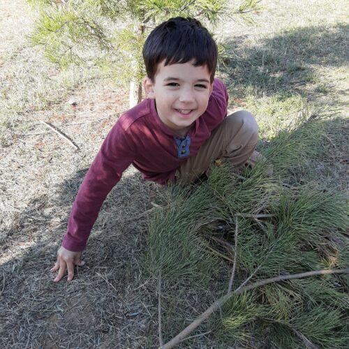 Caleb Gamble picks out children's Christmas tree